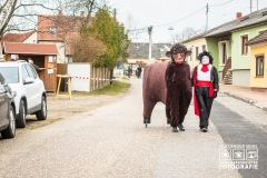 W1A1457_Faschingsumzug_Gross-Inzersdorf_Alexander-Seidl_CR-2020