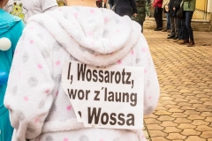 W1A1469_Faschingsumzug_Gross-Inzersdorf_Alexander-Seidl_CR-2020