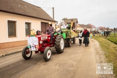 W1A1479_Faschingsumzug_Gross-Inzersdorf_Alexander-Seidl_CR-2020