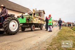 W1A1480_Faschingsumzug_Gross-Inzersdorf_Alexander-Seidl_CR-2020