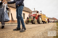 W1A1483_Faschingsumzug_Gross-Inzersdorf_Alexander-Seidl_CR-2020