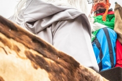 W1A1539_Faschingsumzug_Gross-Inzersdorf_Alexander-Seidl_CR-2020