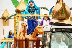 W1A1574_Faschingsumzug_Gross-Inzersdorf_Alexander-Seidl_CR-2020