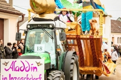 W1A1578_Faschingsumzug_Gross-Inzersdorf_Alexander-Seidl_CR-2020