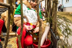 W1A1745_Faschingsumzug_Gross-Inzersdorf_Alexander-Seidl_CR-2020