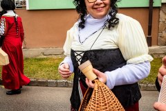 W1A1754_Faschingsumzug_Gross-Inzersdorf_Alexander-Seidl_CR-2020