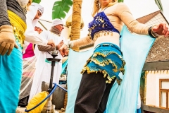 W1A1781_Faschingsumzug_Gross-Inzersdorf_Alexander-Seidl_CR-2020